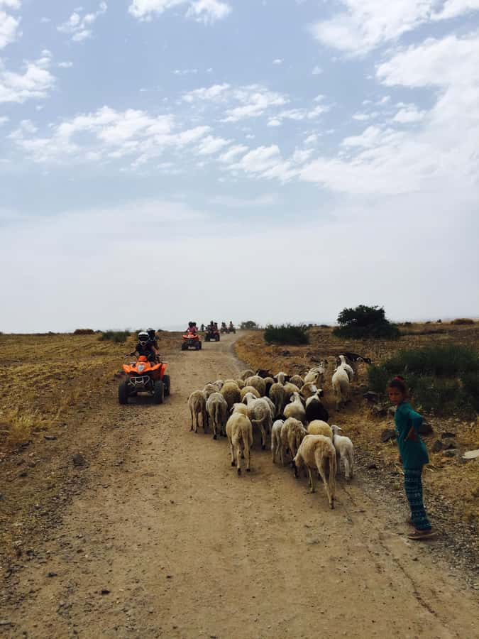 Marrakech: Quad Tour in Jbilets Desert with Palm Grove - The villa pool and Berber tea stop