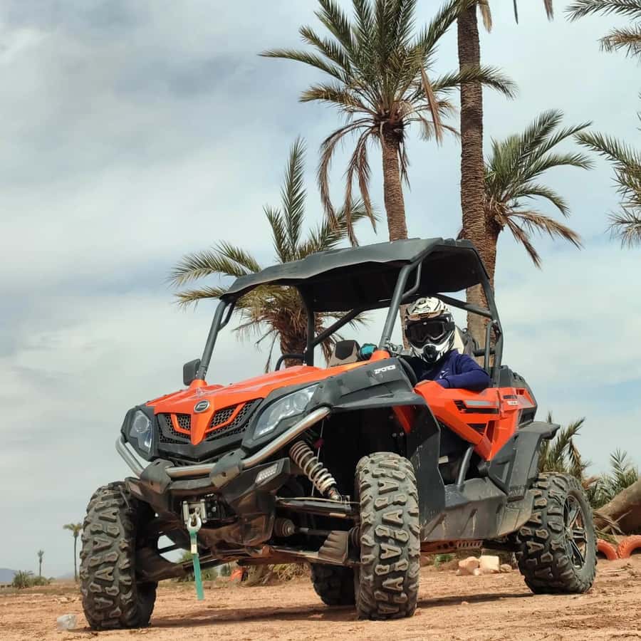 Marrakech : Ride buggy in the desert of the palm grove - Is $40 good value for this Marrakech outing?