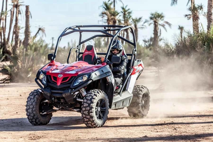 Marrakech : Ride buggy in the desert of the palm grove - Booking details worth checking