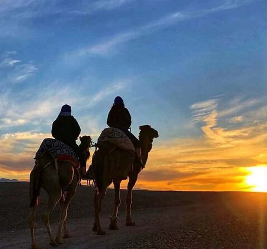 Marrakech: Sunrise Desert Tour with Camel Ride and Breakfast - Why sunrise works better than sunset here