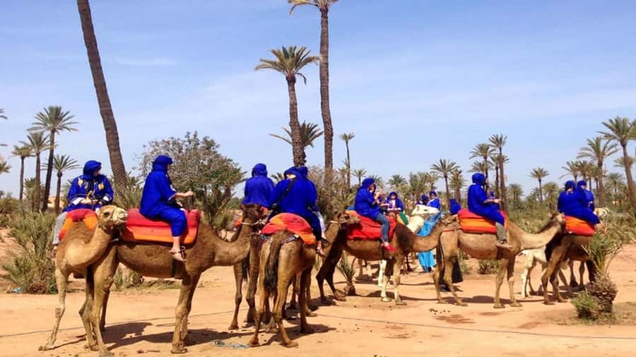 Marrakech: Sunset Camel Ride in Palmeraie - Getting dressed for the camel ride