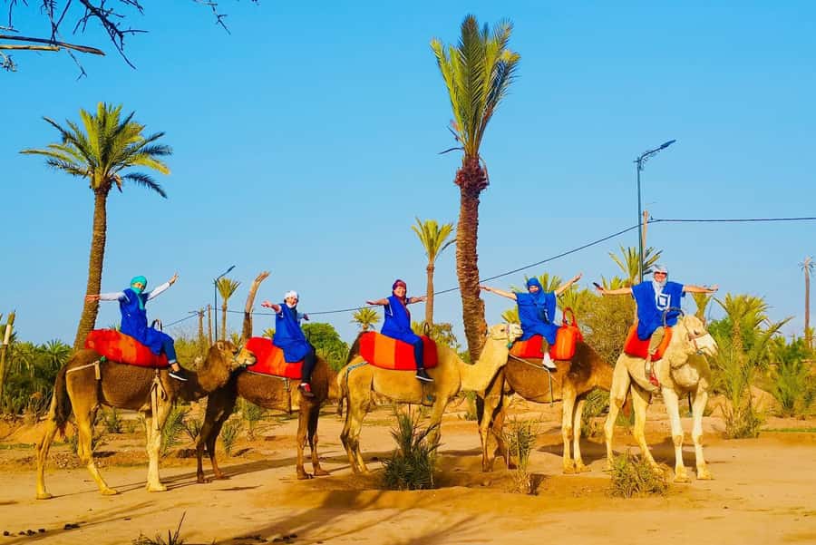 Marrakech: Sunset Camel Ride in Palmeraie - Learning to mount and ride safely