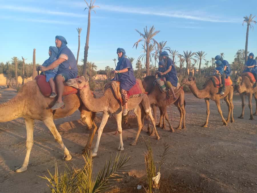 Marrakech: Sunset Camel Ride in the Palmeraie - Riding from Marrakech into the Palmeraie