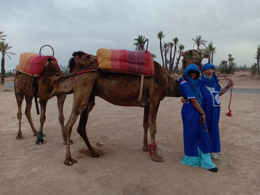 Marrakech: Sunset Camel Ride in the Palmeraie - Meeting the camels and putting on the shesh