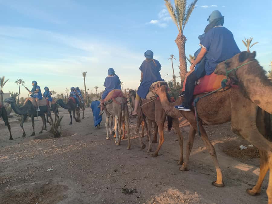 Marrakech: Sunset Camel Ride in the Palmeraie - The sunset question