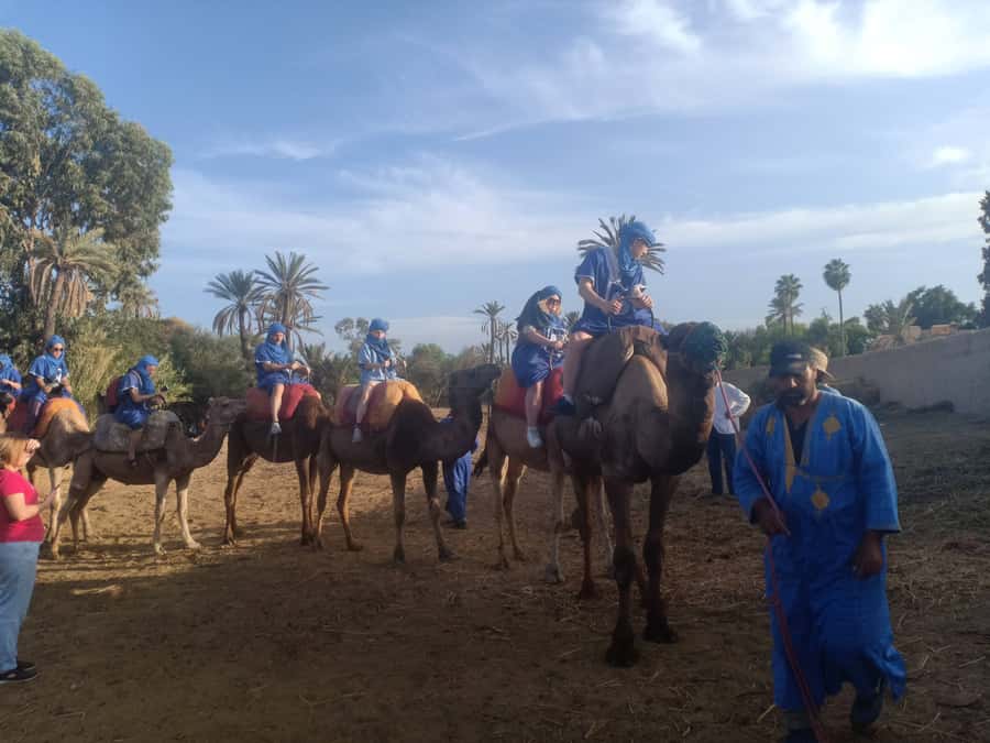 Marrakech: Sunset Camel Ride in the Palmeraie - One hour beneath the palm trees