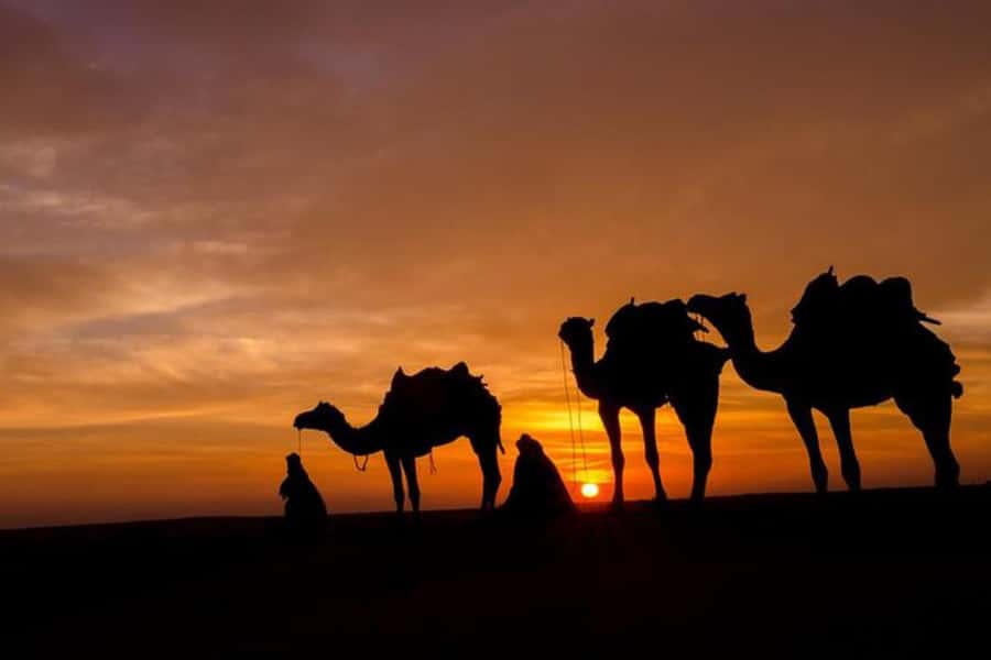 Marrakech: Sunset Dinner in Agafay Desert with Camel Ride - What the guide and driver add