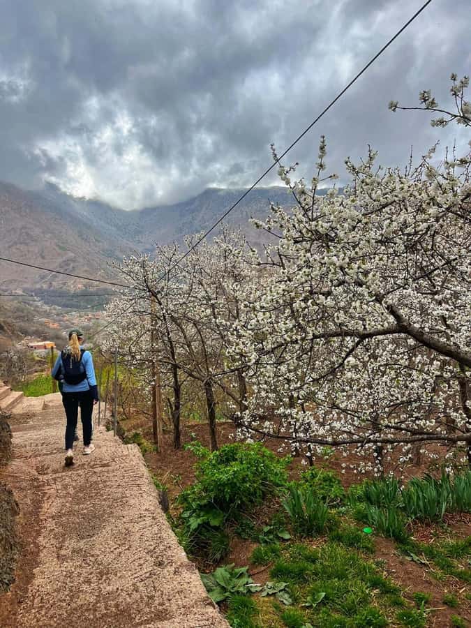 Marrakech: Tedli Summit Atlas Mountains Day Hike & Lunch - Why Mount Tedli is a smart day trip from Marrakech