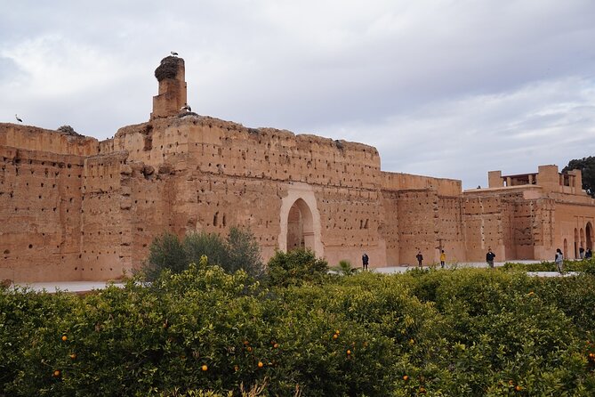 Marrakech The History and Culture Day Trip - Group size and guide quality