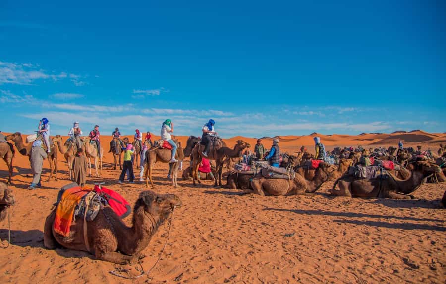 Marrakech to Fes: 3-Day Merzouga Desert Camel & Sandboarding - Ait Benhaddou, where the kasbah becomes real