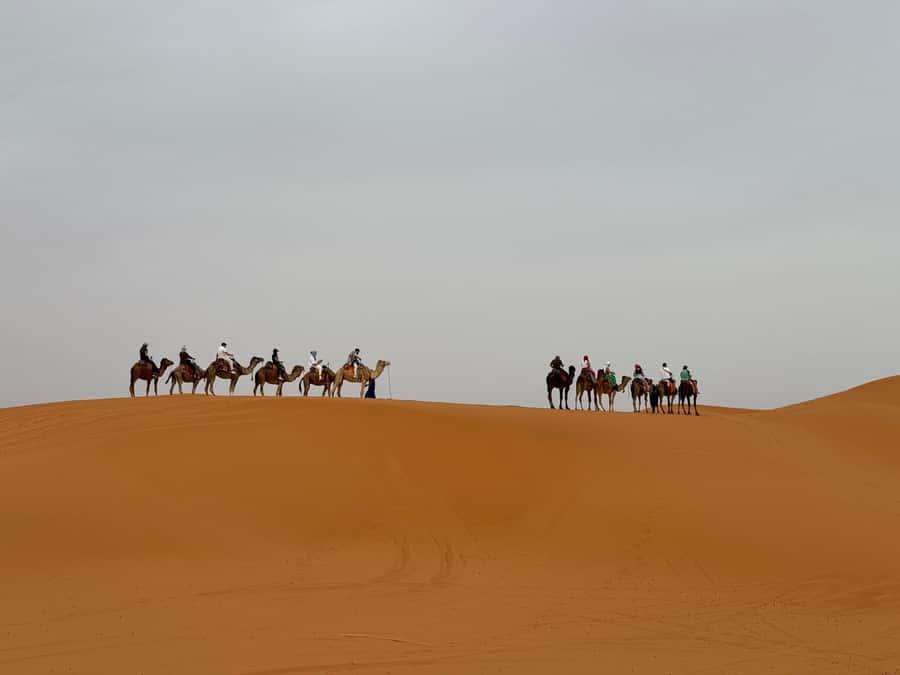 Marrakech to Fes 3-Day Sahara Desert Tour - The lunch question: budget more than the tour price