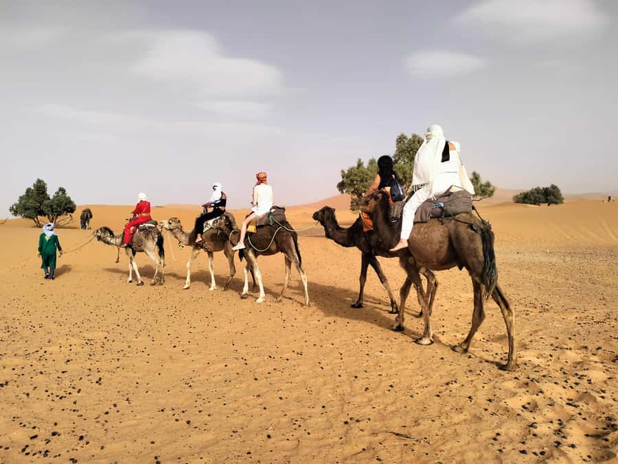 Marrakech to Fes 3 Days Sahara Desert Tour With Camel & Quad - Transport, group size, and the daily pace