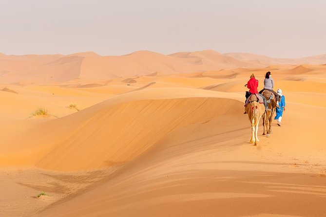 Marrakech to Fez via Merzouga Desert 3-Days Sahara Tour - Key points to know before booking