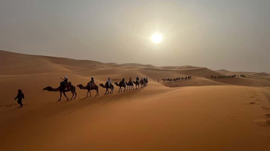 Marrakech to Merzouga: 3-Day Desert Adventure - Ait Ben Haddou is worth the small guide fee