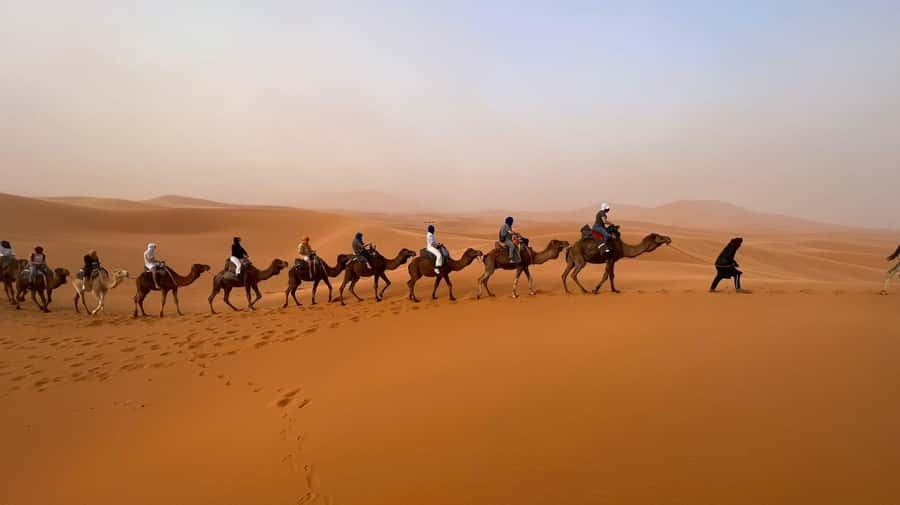 Marrakech to Merzouga: 3-Day Desert Adventure - Day three: sunrise, Draa Valley, and the long return