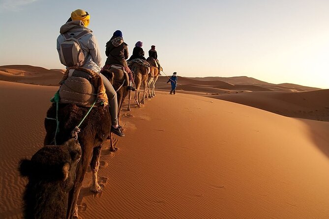 Marrakech to Merzouga Desert 3-Day via the High Atlas Mountains - Day one: from Marrakech over the High Atlas