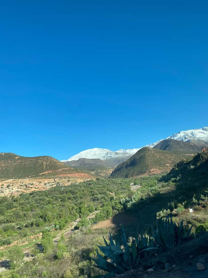 Marrakech to Ourika Valley-Scenic Day Tour Lunch & Waterfal - Hiking to Setti Fatma waterfalls
