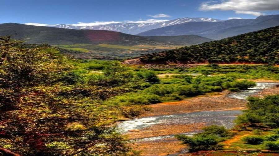 Marrakech to Ourika Valley-Scenic Day Tour Lunch & Waterfal - What the $13 price really offers