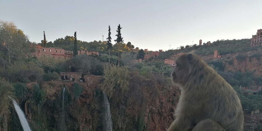 Marrakech to Ouzoud waterfalls day tour - Guide & boat ride - Lunch Above the Waterfall