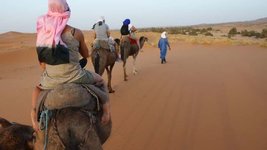Marrakech to Zagora:2-Day Luxury Sahara Tour with Camel Ride - The guides can shape the whole trip