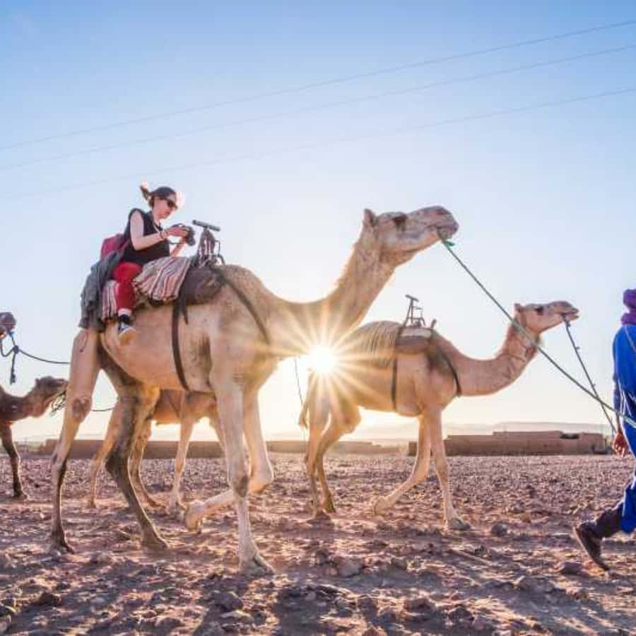 Marrakech to Zagora:2-Day Luxury Sahara Tour with Camel Ride - Who will enjoy this two-day route