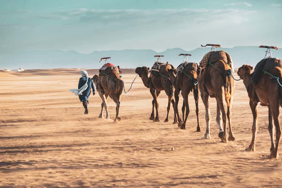 Marrakech to Zagora Desert: 2-Day trip via Ait Benhadou - Leaving Marrakech before the heat builds