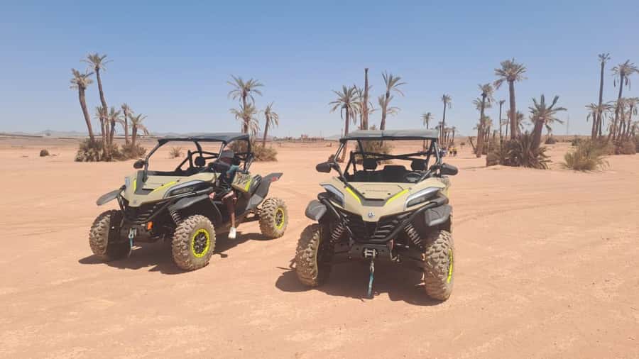 Marrakech: Tour Buggy 1000cc In Palm Oasis and Jbilat Desert - Driving through palms, rocks, and open desert tracks