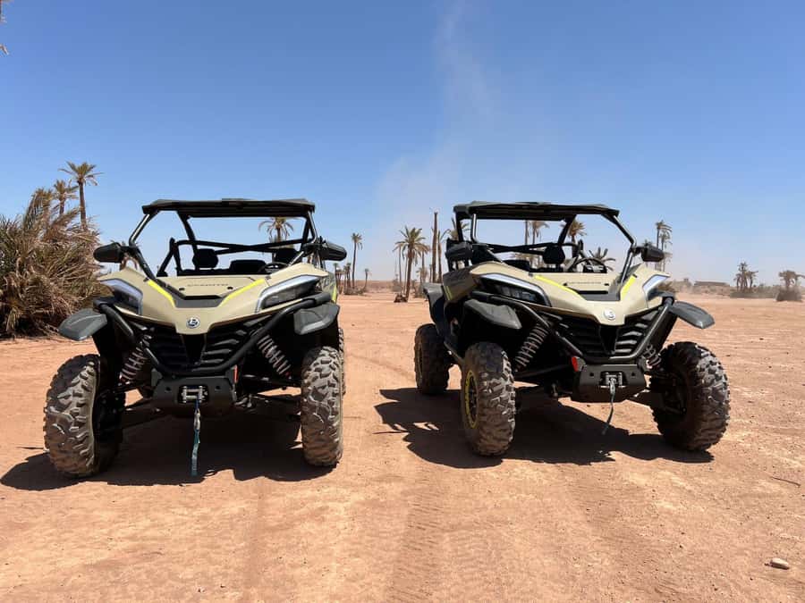 Marrakech: Tour Buggy 1000cc In Palm Oasis and Jbilat Desert - From Marrakech to the Palmeraie in about 30 minutes