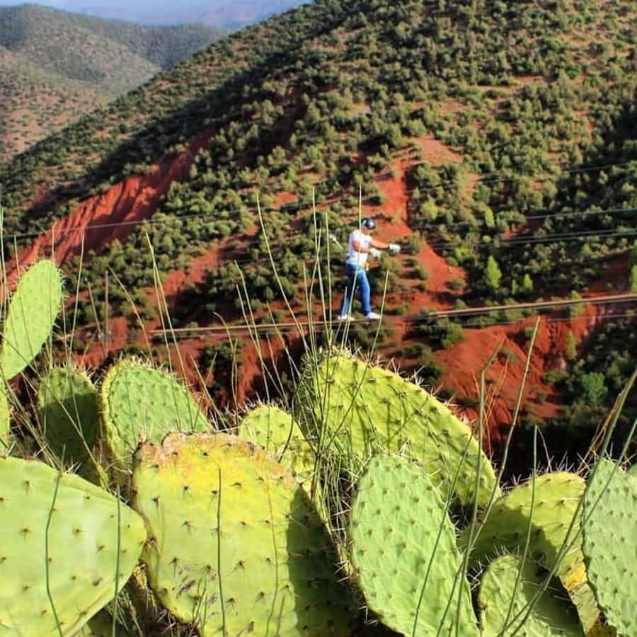 Marrakech: Zipline and Breakfast in the Atlas Mountains - What the guides add to the morning