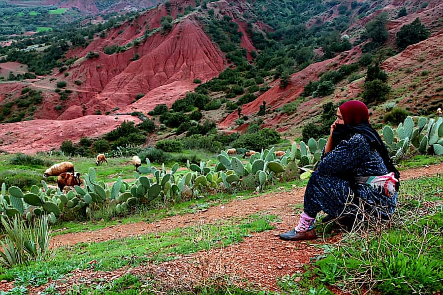 Marrakech: Zipline and Breakfast in the Atlas Mountains - Who should book this Atlas Mountain outing?