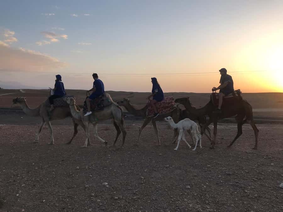 Marrakesh: Agafay Desert Quad & Camel Tour with Dinner - Practical tips before you go