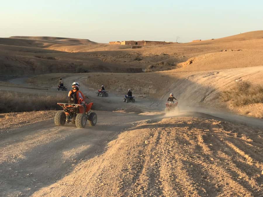 Marrakesh: Agafay Desert Quad & Camel Tour with Dinner - Who should book this experience?