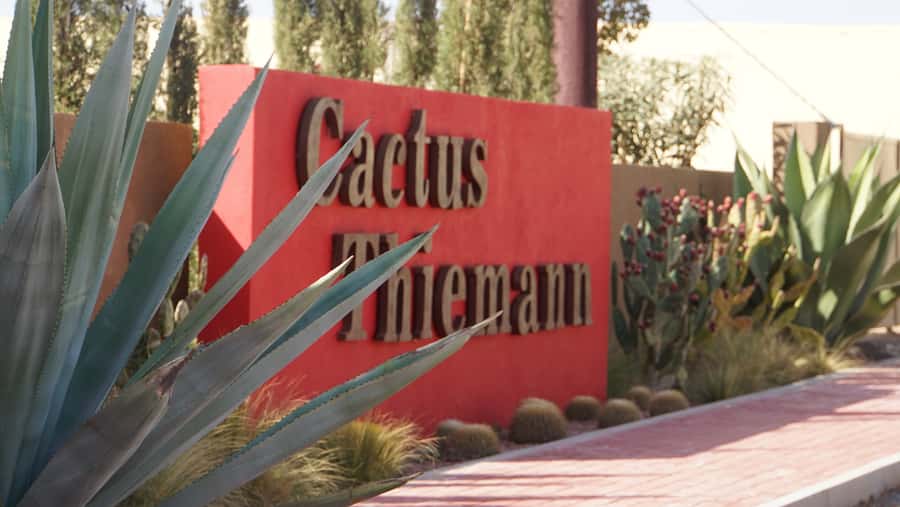 Marrakesh: Cactus Thiemann Entry Ticket - A natural stop for photographs