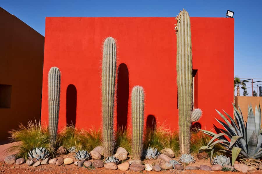 Marrakesh: Cactus Thiemann Entry Ticket - Practical details that can make the visit smoother