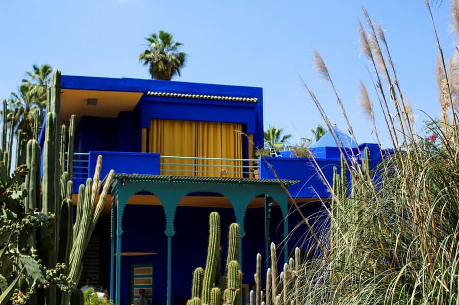 Marrakesh: Majorelle Garden Entry Tickets - Following the garden path