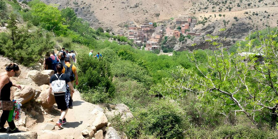 Marrakesh: Ourika Valley & Atlas Mountains Day Trip + Lunch - Who should book this Ourika Valley trip?