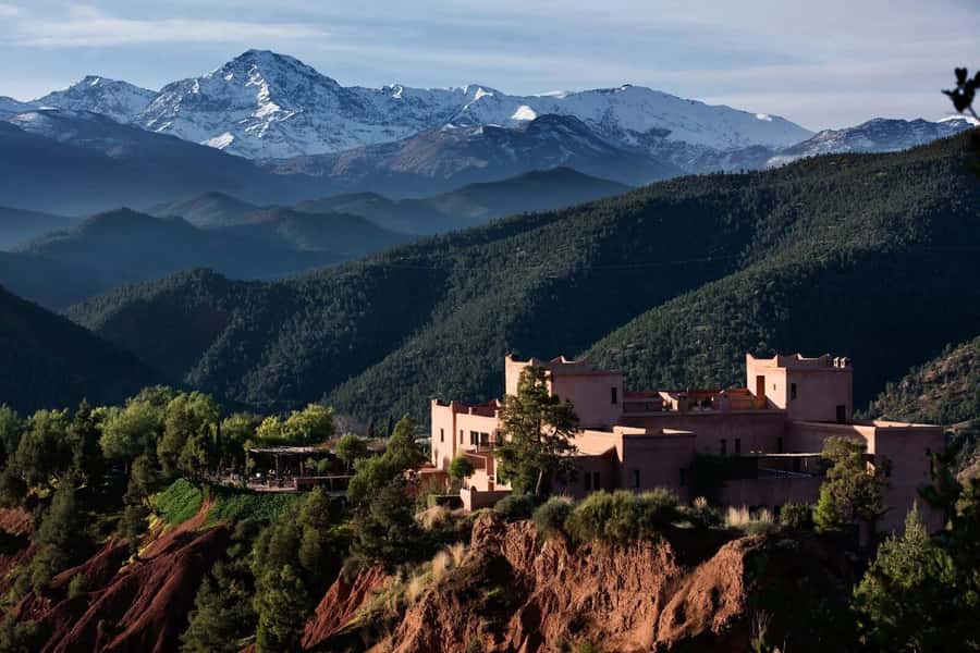 Marrakesh: Ourika Valley Tour & Secret Berber Lunch + Guide - Argan oil at a women-run cooperative
