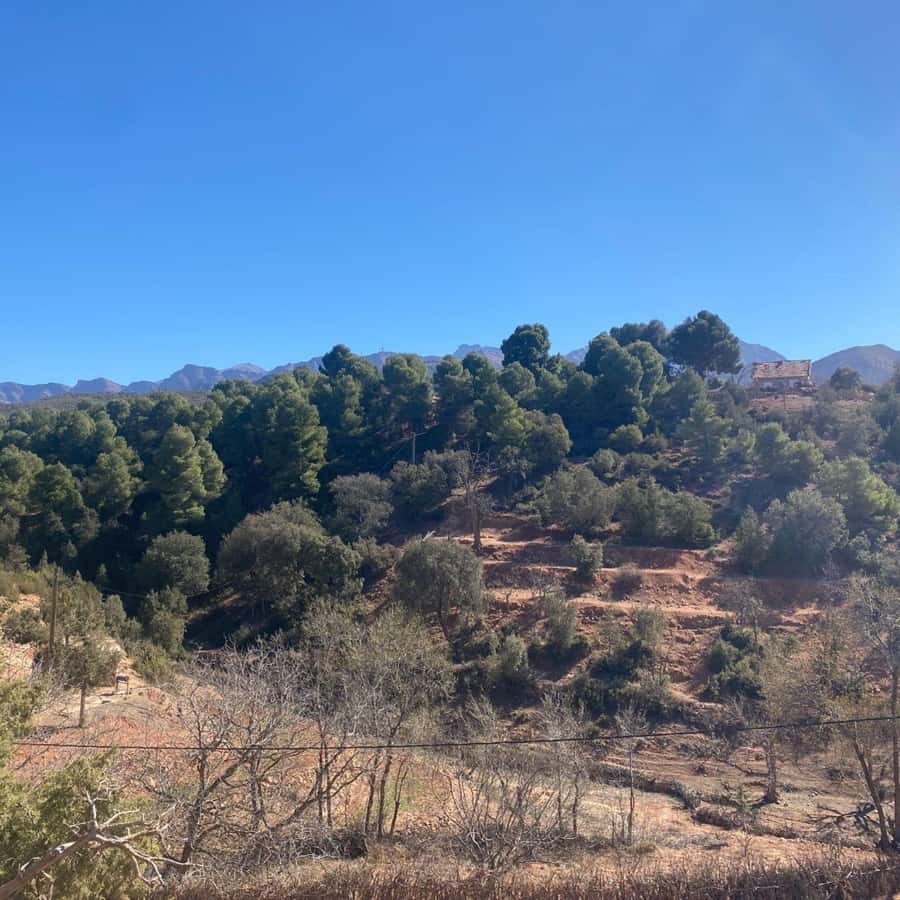 Marrakesh: Ourika Valley Tour & Secret Berber Lunch + Guide - Guides, transport, and group comfort