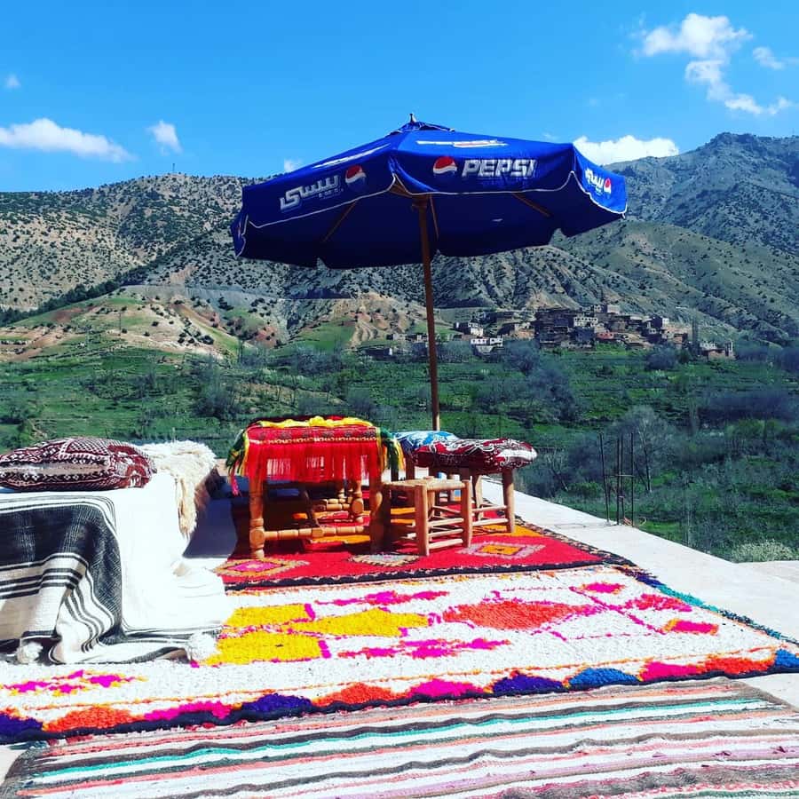 Marrakesh: Ourika Waterfalls, Atlas Mountains, Guide + Lunch - Timing, communication, and the small print