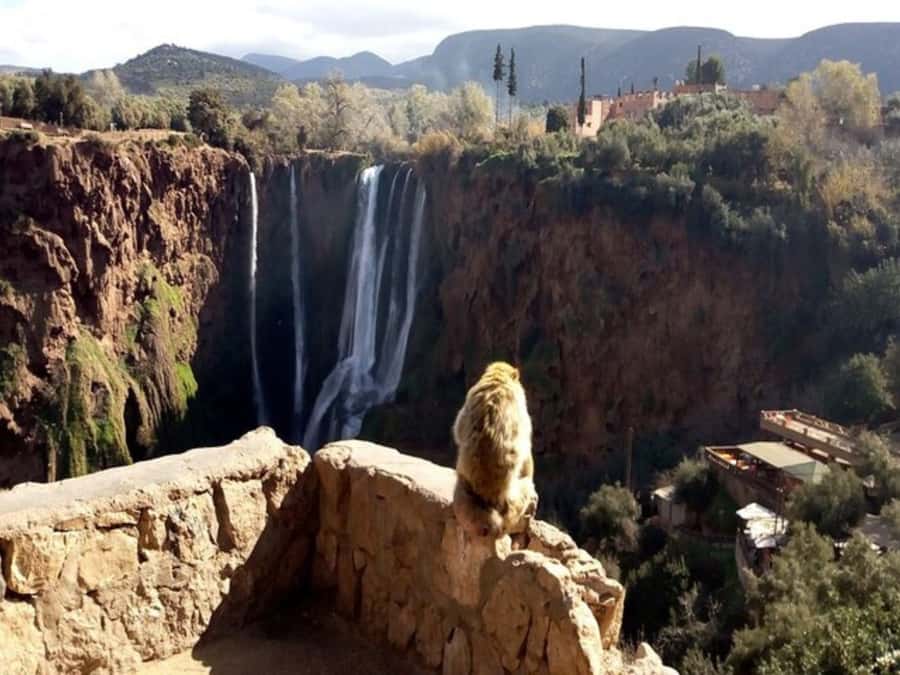 Marrakesh: Ouzoud Waterfalls Trip with Hike & Boat Option - The optional boat ride beneath the falls