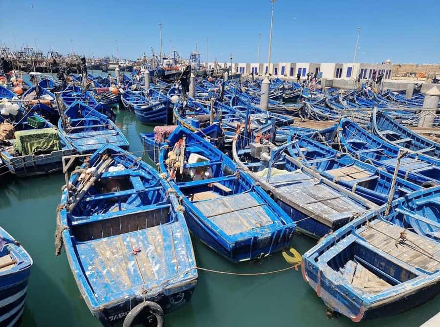 Marrakesh to Essaouira: Small-Group Day Trip & Cooperatives - Why Essaouira makes a good break from Marrakech