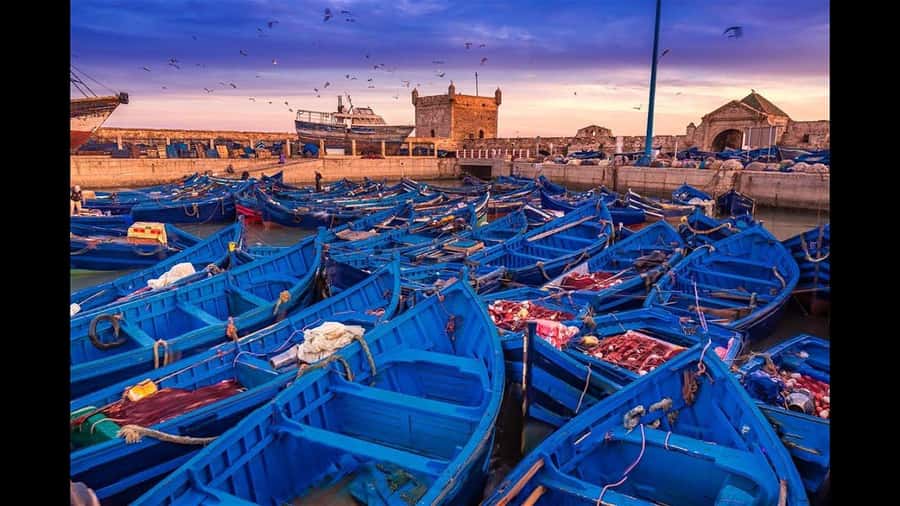 Marrakesh to Essaouira: Small-Group Day Trip & Cooperatives - Walking the blue lanes of the old medina