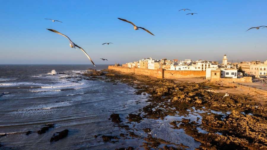 Marrakesh to Essaouira: Small-Group Day Trip & Cooperatives - Making lunch work with fresh fish