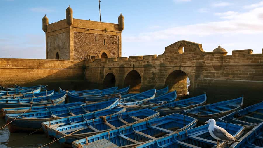 Marrakesh to Essaouira: Small-Group Day Trip & Cooperatives - Four hours of free time, used wisely