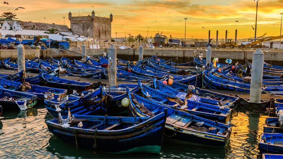 Marrakesh to Essaouira: Small-Group Day Trip & Cooperatives - The 8:00 a.m. pickup and the road west