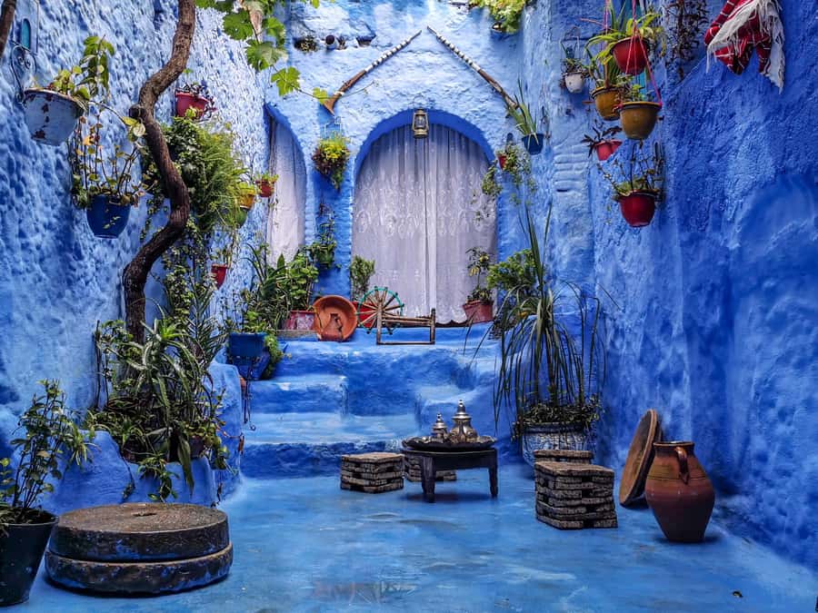 Memorable Day Trip From Fez to Chefchaouen the Blue City - The real shape of the day from Fez