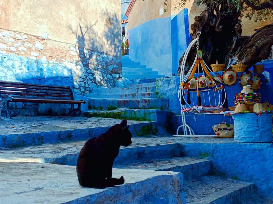Memorable Day Trip From Fez to Chefchaouen the Blue City - Arriving in the Blue City