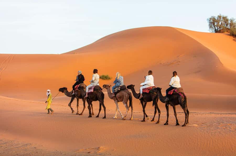 Merzouga: 1-Night in the luxury camp. camel ride & Dinner - A luxury tent with useful desert comforts