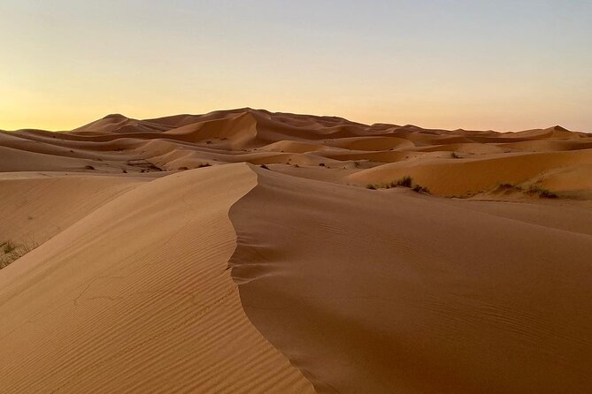 Merzouga Desert Quad bike Adventure with Sand boarding - Riding the Erg Chebbi dunes by automatic quad