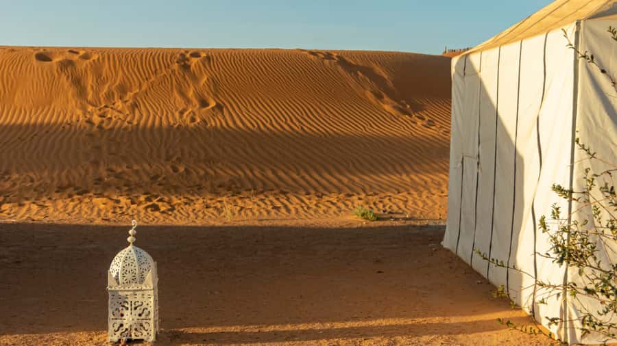 Merzouga Overnight Stay in a Berber Tent and Camel Ride - Who should book this Merzouga night